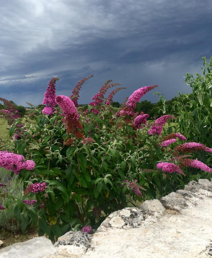 Podere Papilio Alberobello Buitenkant foto