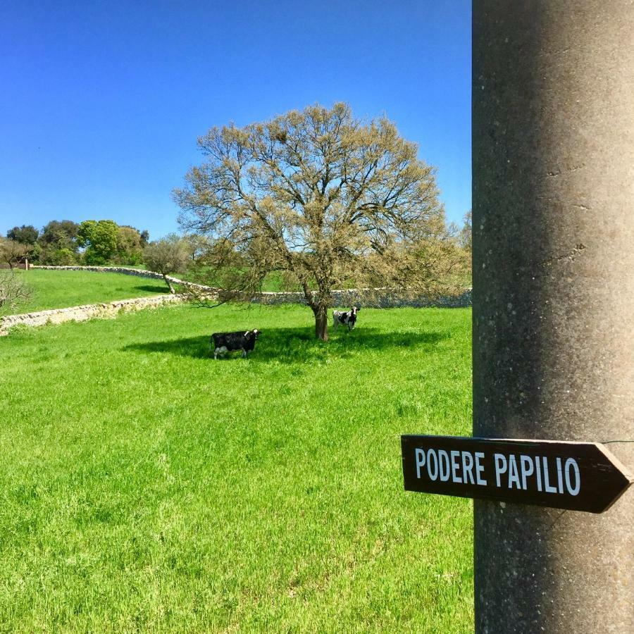 Podere Papilio Alberobello Buitenkant foto
